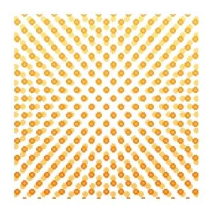 Set Silkscreen 1